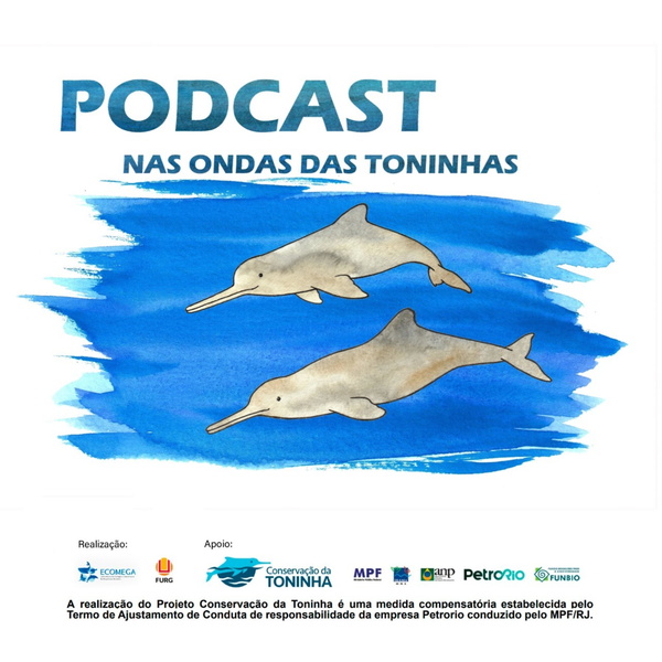 Artwork for Nas Ondas das Toninhas
