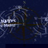 NATO’s Road to Madrid