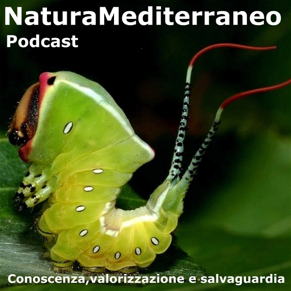 Artwork for Natura Mediterraneo Podcast