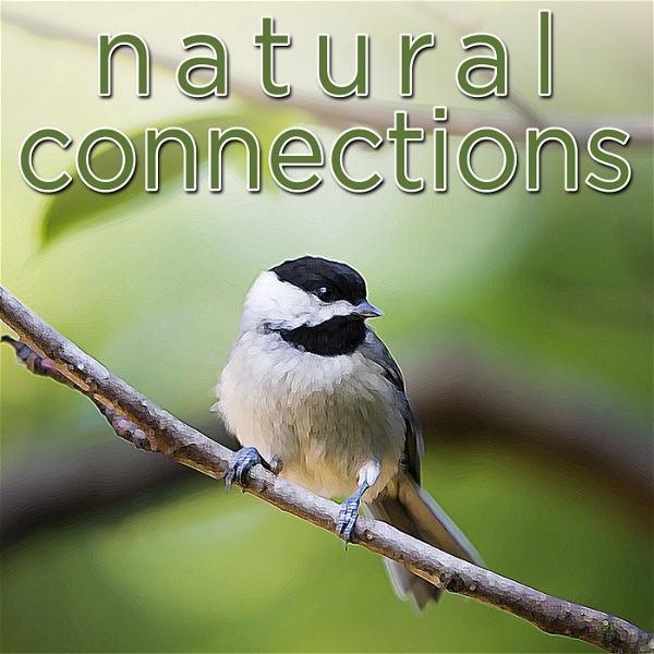 Artwork for Natural Connections