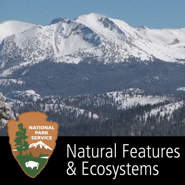 Artwork for Natural Features & Ecosystems