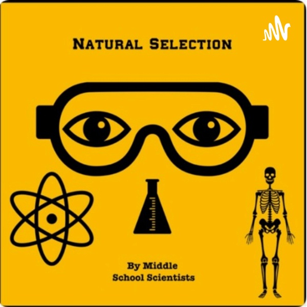 Artwork for Natural Selection by Middle School Scientists