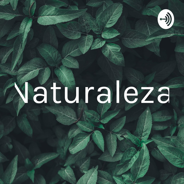 Artwork for Naturaleza