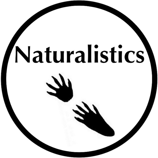 Artwork for Naturalistics