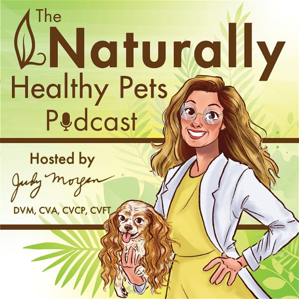 Artwork for Naturally Healthy Pets Podcast