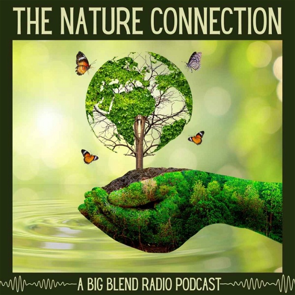 Artwork for Nature Connection Radio