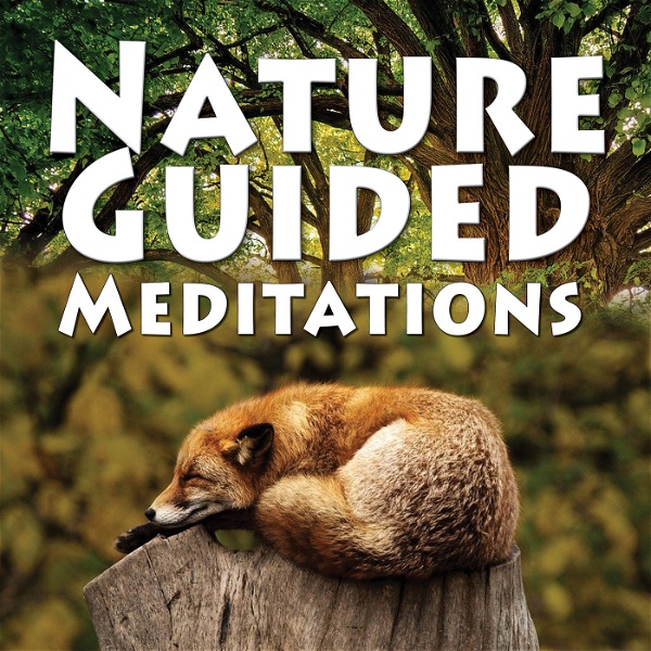 Artwork for Nature Guided Meditations