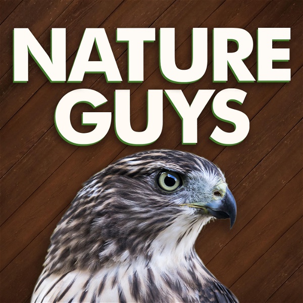 Artwork for Nature Guys