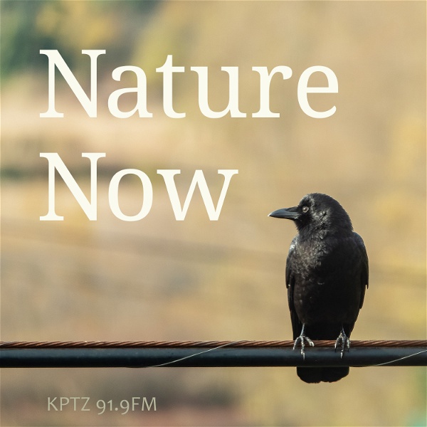 Artwork for Nature Now