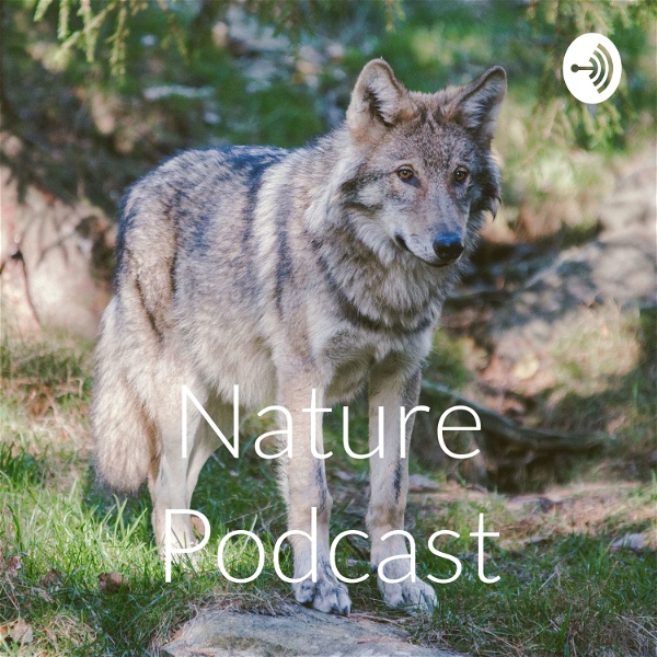 Artwork for Nature Podcast