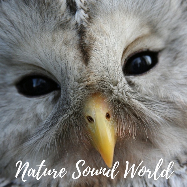 Artwork for Nature Sound World
