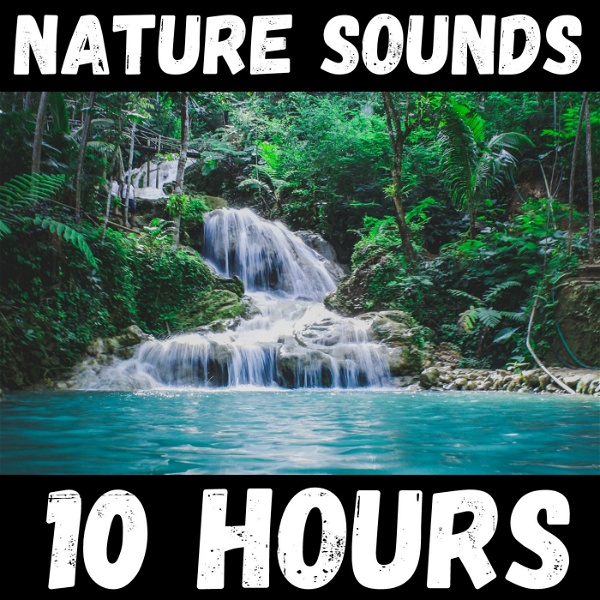 Artwork for Nature Sounds