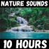 Nature Sounds - 10 Hours