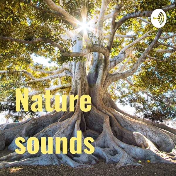 Artwork for Nature sounds