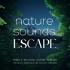 Nature Sounds Escape | Purely Relaxing Nature Sounds For Sleep, Relaxation, Meditation, Mindfulness, Study & Focus | Ambient