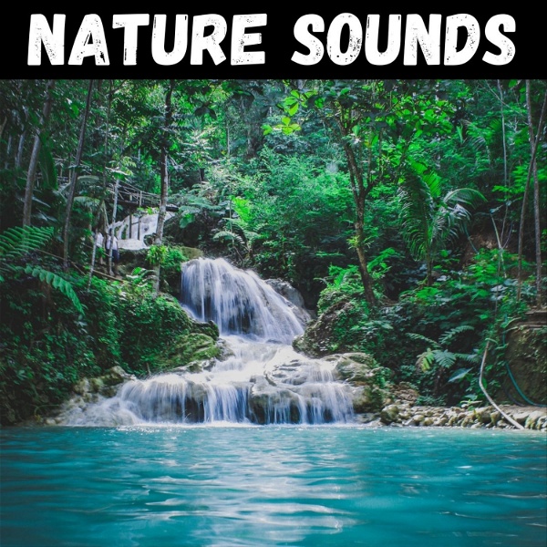 Artwork for Nature Sounds for Sleep, Meditation, & Relaxation