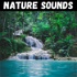Nature Sounds for Sleep, Meditation, & Relaxation