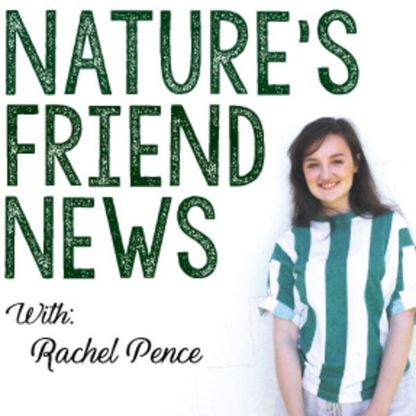 Artwork for Nature's Friend News