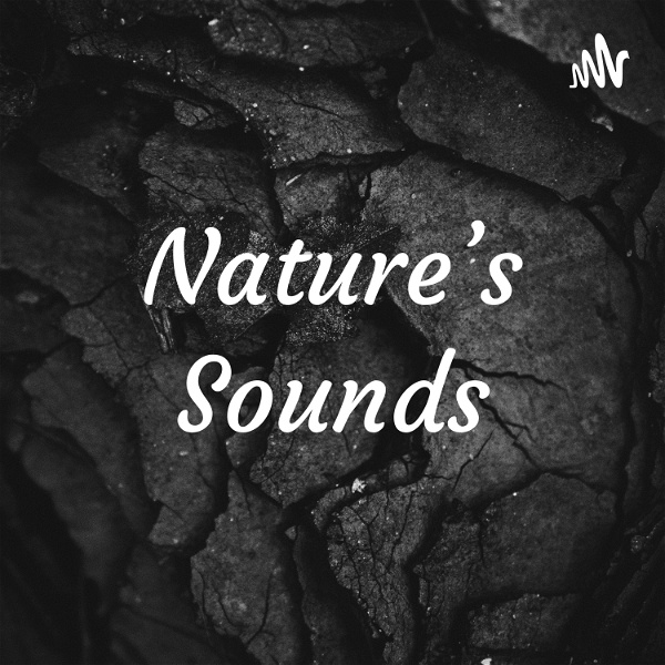 Artwork for Nature's Sounds