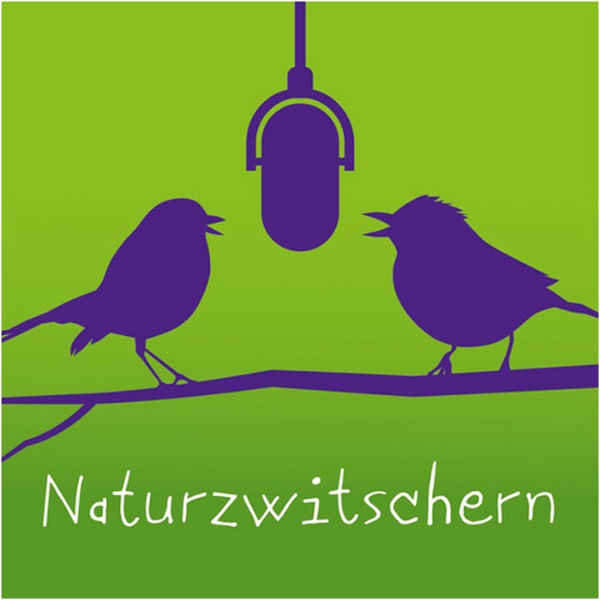 Artwork for Naturzwitschern