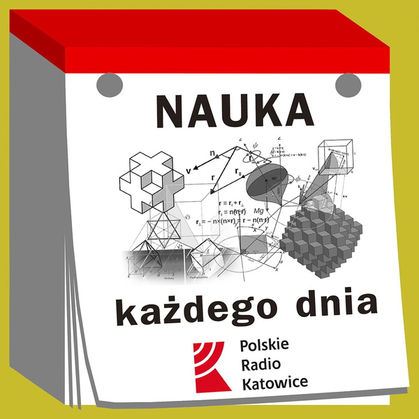 Artwork for Nauka każdego dnia