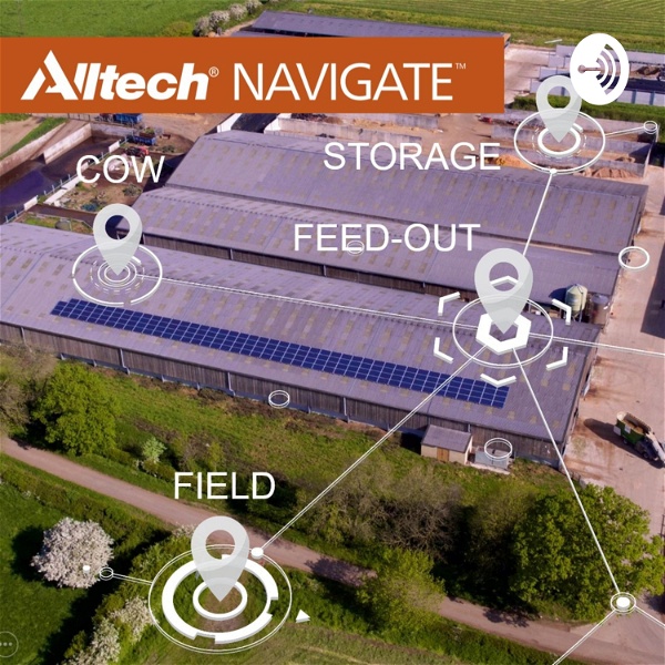 Artwork for Alltech Navigate: The pioneering zero-cost advice service designed to reduce feed waste