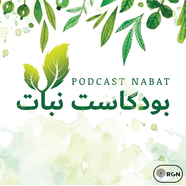 Artwork for نبات | Nabat