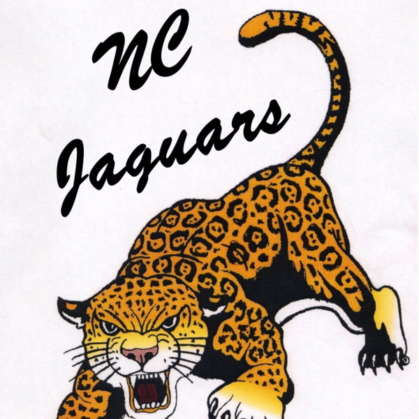 Artwork for NCSchool