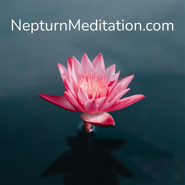 Artwork for Nepturn Meditation: Sleep, Relax, Focus Music