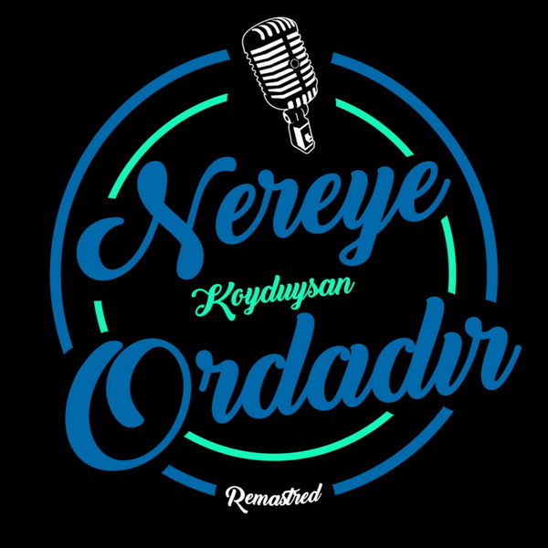 Artwork for Nereye Koyduysan Ordadır