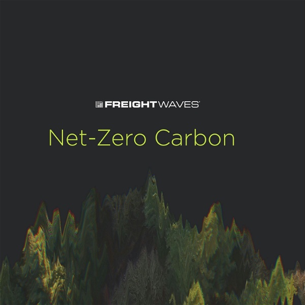 Artwork for Net-Zero Carbon