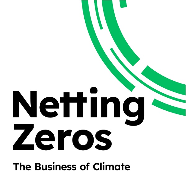 Artwork for Netting Zeros