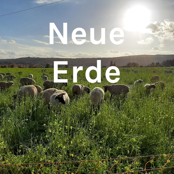 Artwork for Neue Erde
