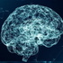 Neuroscience
