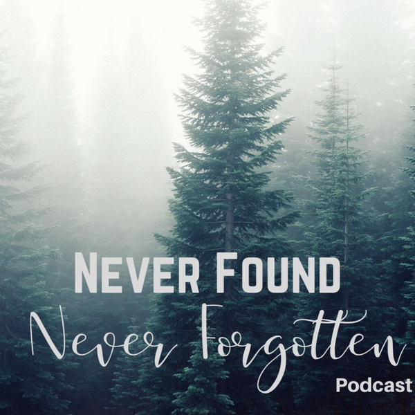 Artwork for Never Found Never Forgotten