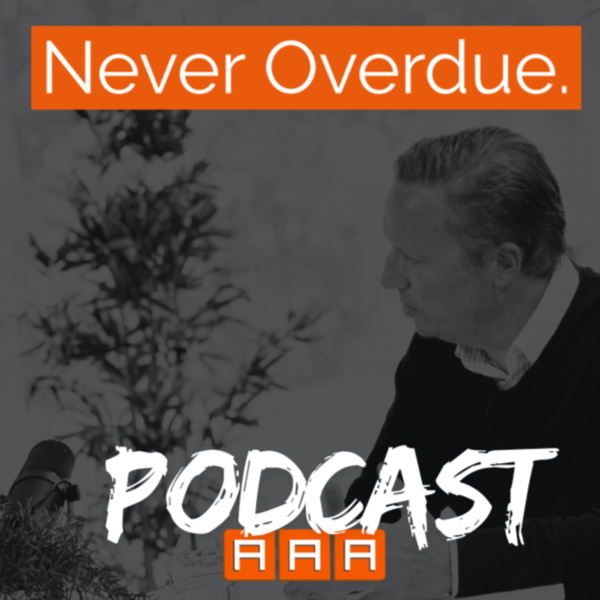 Artwork for Never Overdue.