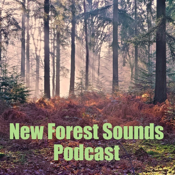 Artwork for New Forest Sounds
