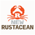 New Rustacean