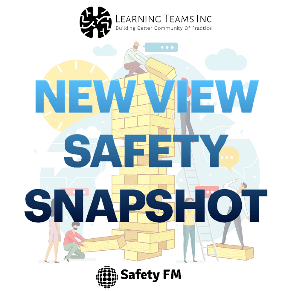 Artwork for New View Safety Snapshot