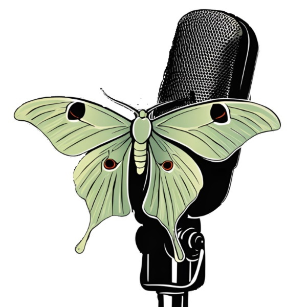 Artwork for NewLifeCast