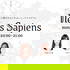 News Sapiens