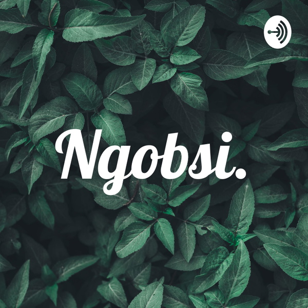 Artwork for Ngobsi.