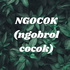 NGOCOK (ngobrol cocok)