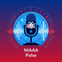 NIAAA Pulse: The Beat of Interscholastic Athletics