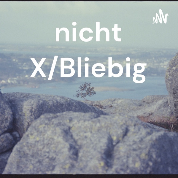 Artwork for nicht X/Bliebig