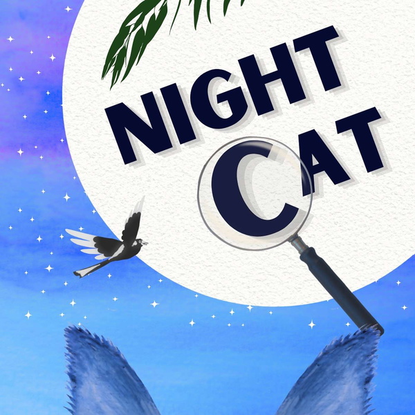 Artwork for Night Cat: Series for Kids