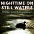 Nighttime on Still Waters