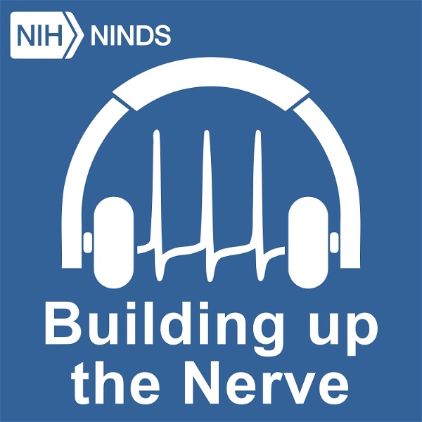 Artwork for NINDS's Building Up the Nerve