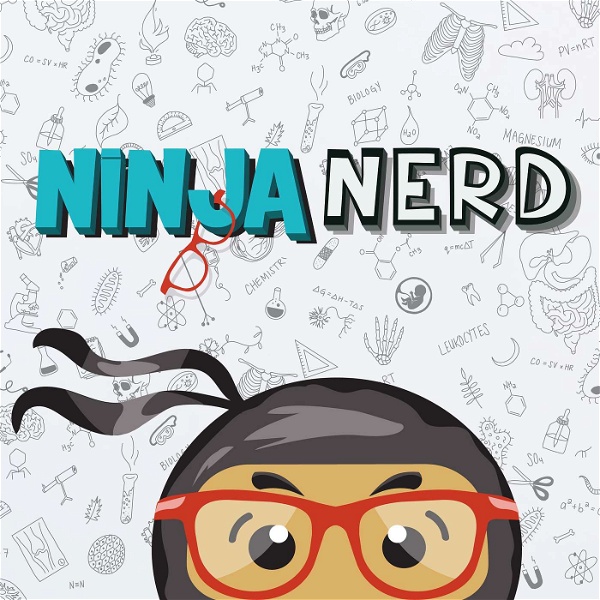 Artwork for Ninja Nerd