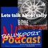 NL Rallysport | BENE Servicepark | Podcast